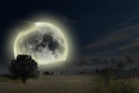 Is the moon an artificially created object?