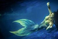 Why see a mermaid in a dream?