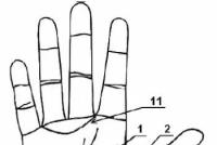 The meaning of signs on the hand in palmistry Rare signs on the palm and their meaning