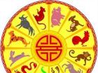 Eastern horoscope of animals by years What is the next year according to the eastern calendar